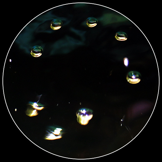 Michel Polnareff, Bulles